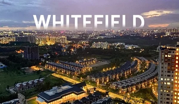 Featured Image of About Whitefield