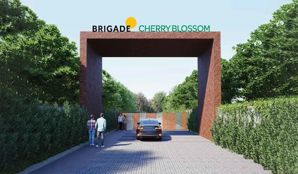 Featured Image of Brigade Cherry Blossom