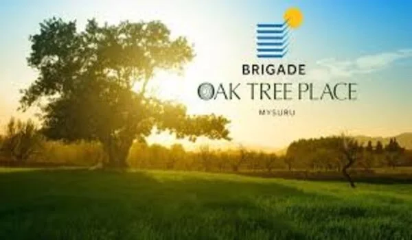 Featured Image of Brigade Oak Tree