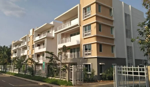 Featured Image of Brigade Palmgrove